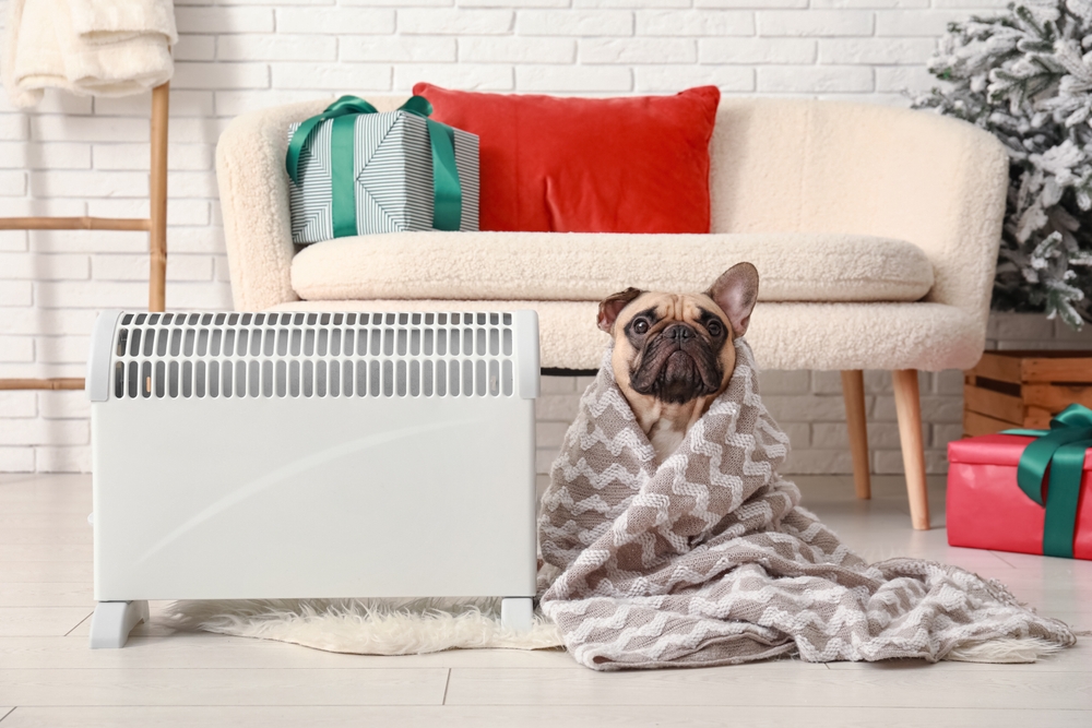 trêve hivernale 2025-2026 France chauffage électrique hiver maison